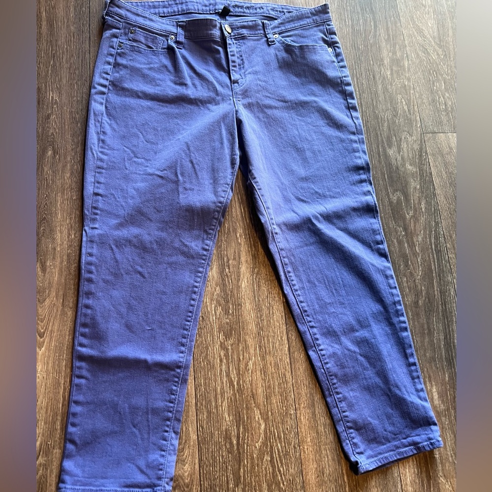 Gap Women’s Purple Premium Skinny Ankle Size 16